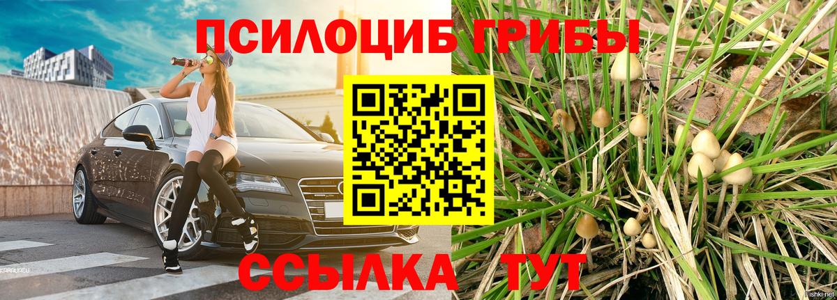Псилоцибиновые грибы ЛСД Сердобск