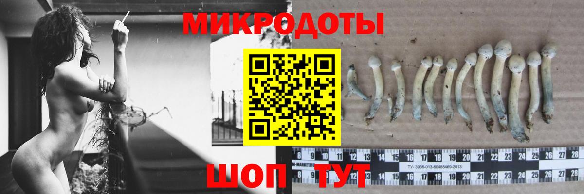 Псилоцибиновые грибы мицелий  Вход с VPN  Сердобск 